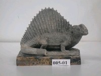 藏品(古生物模型)的圖片